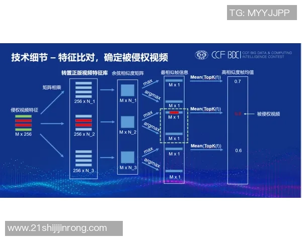 广州飞盘队的阵地战策略与战术分析探讨